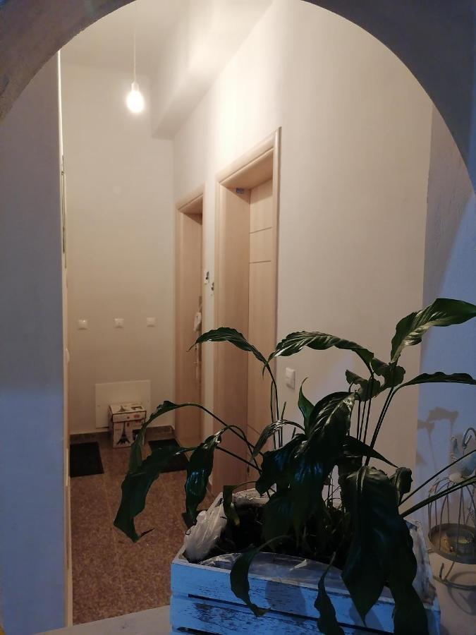Eliora Studio & Aelia Apartment كاندية المظهر الخارجي الصورة